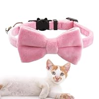 Huisdierhalsband met bel | Comfortabele verstelbare