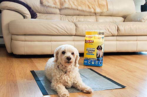 Glad For Pets Heavy Duty Ultra-Absorbent Activated Charcoal Puppy Pads With Leak-Proof Edges | Pee Pads For Dogs Perfect For Training New Puppies, Black, 40 Count #TOP5