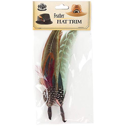 Zucker - Hat Feather Trims - Roaring 20S Flapper Style Feather Pick - Costume - Cosplay - Millinery - Floral Arrangements - Pheasant/Hackle/Guinea - Champagne/Mint/Natural #TOP1