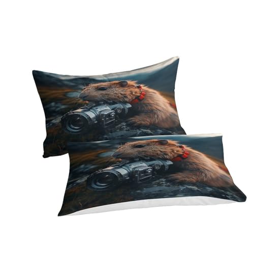 Housse de couette fermeture éclair marmotte pour simplifier le lit double