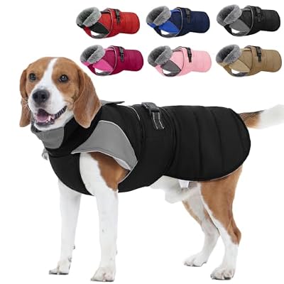 Nanaki Waterproof Dog Winter Coat Medium Dogs, Snow, Windy, Beagle, Black L
