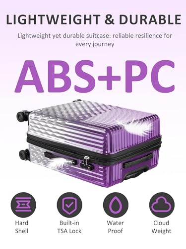 Image of Checked Luggage Hardside Suitcase with Spinner Wheels, 24in