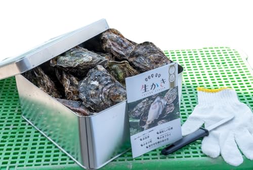 カンカン焼きセット 広島 殻付き牡蠣 マルミ水産