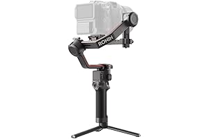 DJI RS 2: Professional Gimbal Stabilizer for Mirrorless and DSLR Cameras