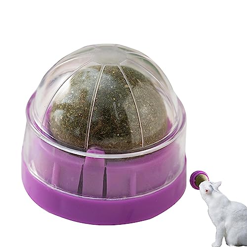 Tumotsit Wand Katzenminze, essbares Bio-Spielzeug für Kätzchen, Kauspielzeug mit Kugel, Katzenminze, Wand, Leckbälle für Katzenminze