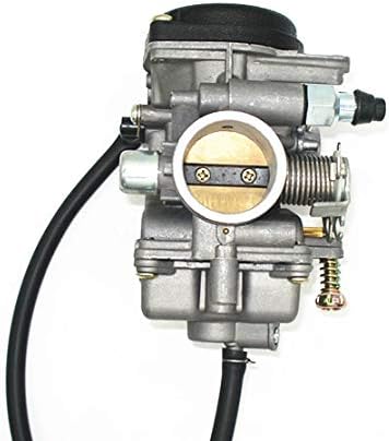 Carburetor for Jianshe 250 JS250 Baja WD250-U Trail JetMoto Tank 250cc ATV