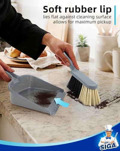 Image of MR.SIGA Dustpan and Brush Set, Pack of 2 Set, Blue & Grey