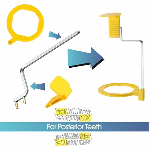 Dentale Röntgen-Positionierungsindikatoren, Zubehör für intraorales Filmpositionierungssystem, selbstoklavierbar, 10 Stück (gelber Rückenring)