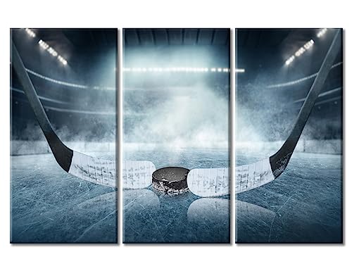 Tableau hockey sur glace TUMOVO œuvre moderne encadrée luxe