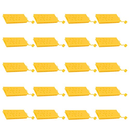 Jaula de plástico para Abeja Reina, 20 Unidades, diseño Duradero y ventilado, sin pesticidas, para Transporte y Almacenamiento de Abejas Reina, Equipo para apicultores.