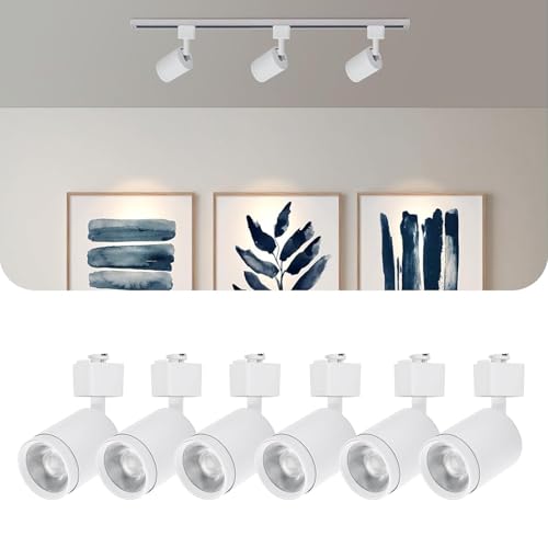 6-Pack 10W LED Track Lighting Heads for Wall Art
