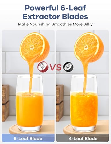Blender For Juicing And Smoothies