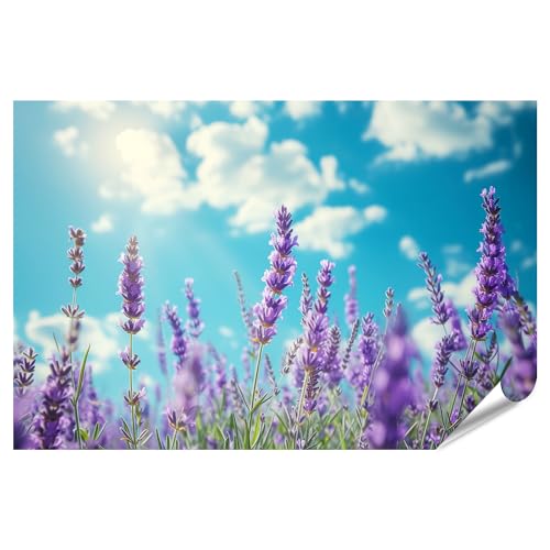 islandburner XXL Imagen Póster Primer Plano: Fragantes Flores de Lavanda Bajo Cielo Azul   Cosméticos Orgánicos y Aromaterapia Baño Tienda de cosméticos naturales