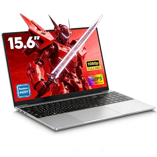 FUNYET Nuevo Ordenador Portátil 15.6” RAM 16GB SSD 256GB Soporta TF 1TB Win11 Pro 1920x1080 FHD (Procesador 2 Cores 4425Y), Portatil con WIFI5, BT4.2, USB3.0x2, HDMI para Estudiantes y Oficina