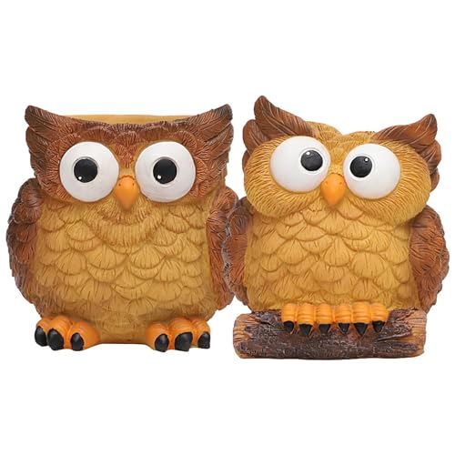 Owl Succulent Flower Pots, Owl Plant Pot, Drainage Resin, Cute Animal Cactus Flower Pot, Creative Cartoon Planter for Landscape Succulents, Novel Planter for Plant Lovers