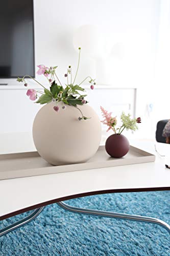 Cooee Design Tray - Vassoio in Acciaio Inox, 50 x 18 x 2 cm, Colore: Sabbia - immagine 5