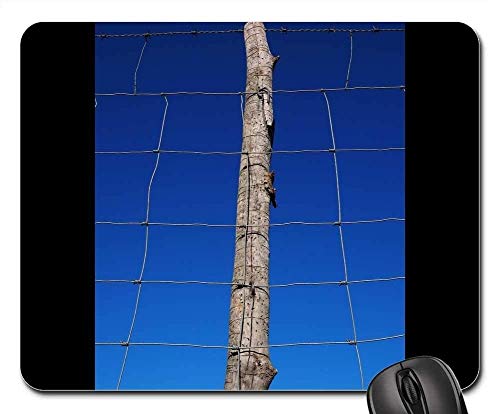 Preisvergleich Produktbild Mauspads - Beitragsstapelzaun Wildzaun Wildlife Zaun Mesh