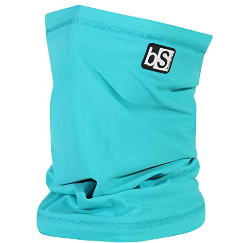 BlackStrap The Tube, suporte de pescoço e aquecedor de camada dupla para homens e mulheres, Teal, On