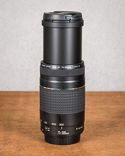 Canon Teleobjektiv EF 75-300mm f/4-5.6 III DC Europa 6473A015