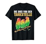 Papagei Vögel Wellensittiche die drei von der Tank