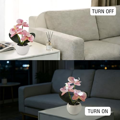Image of Light Pink Artificial Orchid Lamp, Cordless Rechargeable LED Orchid Night Light, Valentine's Mothers Day Wedding Birthday Gift for Mom Wife Friends, Floral Light for Bedroom Indoor Home Decor