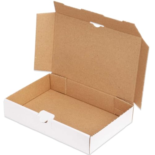 kartonprimus Maxibriefkartons 240 x 160 x 45 mm MB-3 weiß...