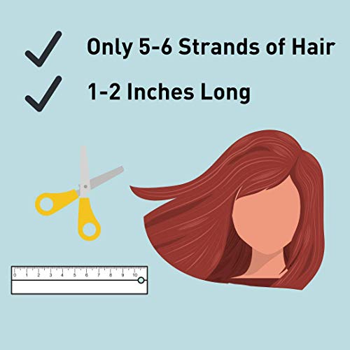 image for Modern Allergy Management – Hair Testing Kit for Food Intolerances �