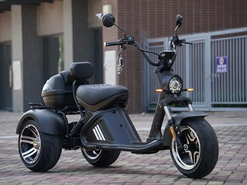 eAhora M2 Electric Tricycle Safety Features