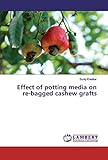 Effect of potting media on re-bagged cashew grafts