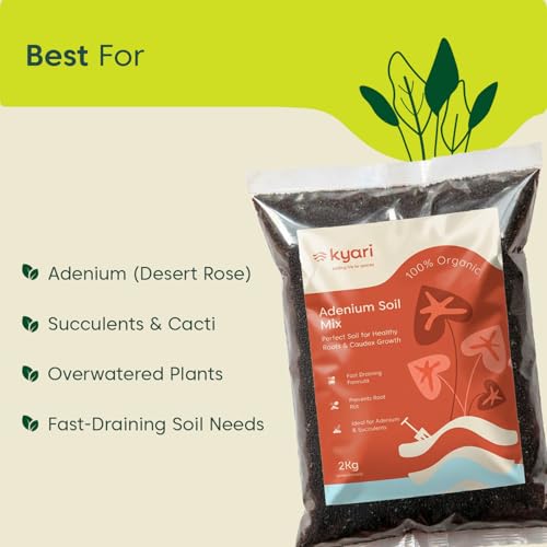 Image of KYARI Adenium Soil Mix 2 kg | Well-Draining Potting Mix for Desert Rose, Cactus & Succulents | Ready to Use | No Amendments Needed