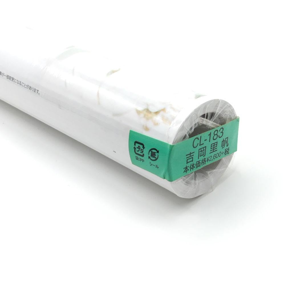 Amazon.co.jp: 吉岡里帆 2019年 カレンダー 壁掛け B2 CL-183