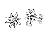 Happy Jewelry Brand New Lady's Beautiful Flower Titanium Stud Earrings, a Gift Box and a Nice Small Gift
