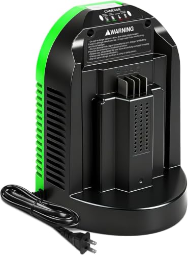 Enermall CH2100 Replacement for EGO 56V Battery Charger