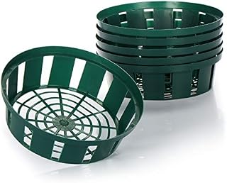 com-four® 6x Planting Baskets for Bulbs, Planting Bowl for Growing and Storing Bulbous Plants, Small Green Onion Basket (06x planting bowl - 22cm)