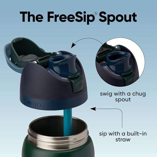 Image of Owala FreeSip Insulated Stainless Steel Water Bottle with Straw, BPA-Free Sports Water Bottle, Great for Travel, 32 Oz, Lost Signal