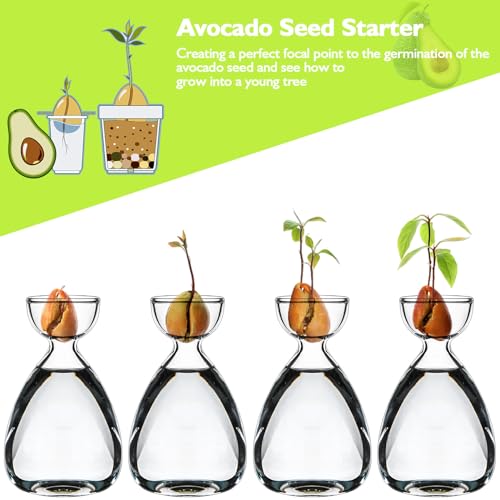 cenryusa 4 Pcs Small Avocado Seed Starter Vase Avocado Tree Growing Vase Kit Avocado Seed Sprout Starter Vase Planter Pot Easy Seed Sprout Starter Gift Plant Glass Gift for Gardening Lover by cenryusa - Image 3