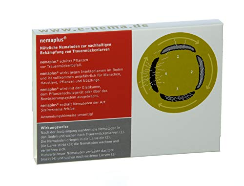 nemaplus® SF Nematoden ter bestrijding van rouwmuggen - 3 miljoen voor 6 m² potgrond of 30 planten - Image 3