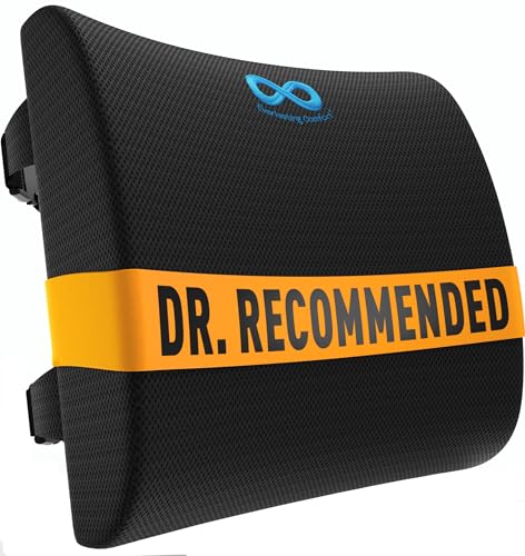 Everlasting Comfort Lumbar Support Pillow for Office Chair - Memory Foam Back Cushion for Seat, Car, Couch - Promotes Better Posture, Back Pain Relief- Ideal for Gaming & Desk Chairs and Home or Work