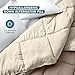 Bare Home Queen Comforter - Reversible Colors - Goose Down Alternative - Ultra-Soft - Premium 1800 Series - All Season Warmth - Bedding Comforter (Queen, Taupe/Sand)