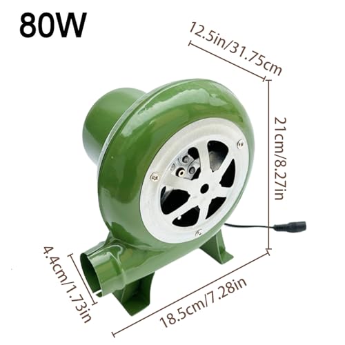 Souffleur à double usage AC/DC 12V avec ventilateur à vitesse variable