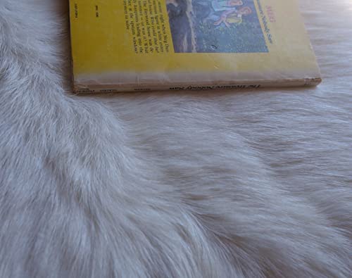 Meg and the Treasure Nobody Saw 0307215296 Book Cover