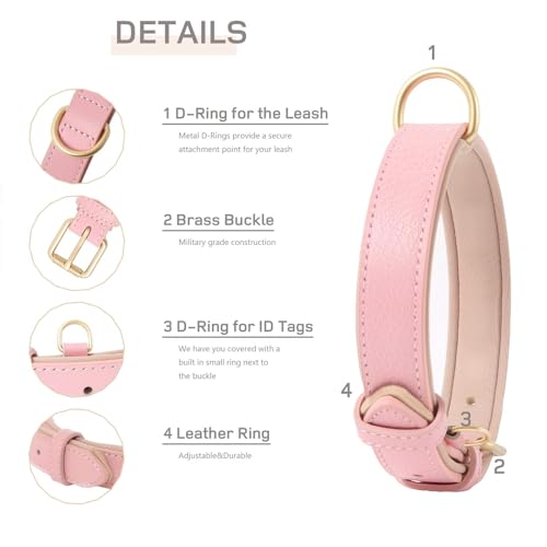 HEELE Hundehalsband Leder Hundehalsband mit gepolstert und echtes Leder, Verstellbar, Halsband für Welpen Kleine Hunde, Rosa, XS
