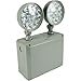 Orbit Industries Remote Head Wet Location LED Emergency Light, Grey Housing