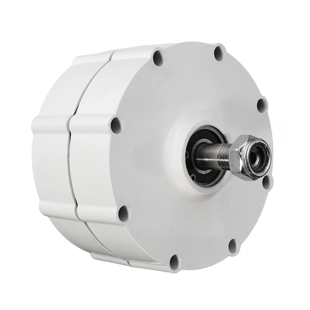 Generatore di magneti permanenti, 800 W, 12 V, 24 V, 48 V, dinamo a 3 fasi, per turbina eolica fai da te e progetti di energia libera (without-12 V)