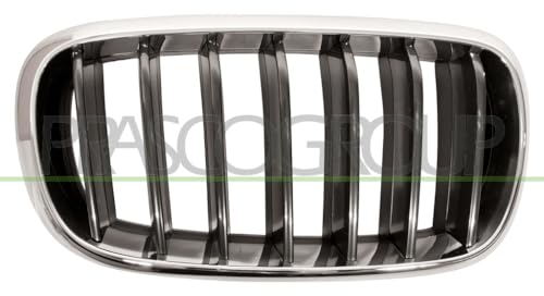 Prasco bm8262003 rejilla frontal Alerón de sustitución directa para el paragolpes exterior