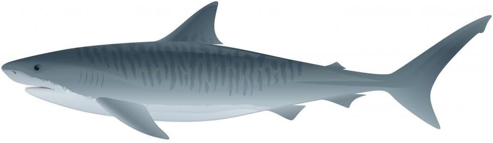 Wallmonkeys Tiger Shark Wall Decal Peel and Stick Graphic (48 in W x 23 in H) WM211377