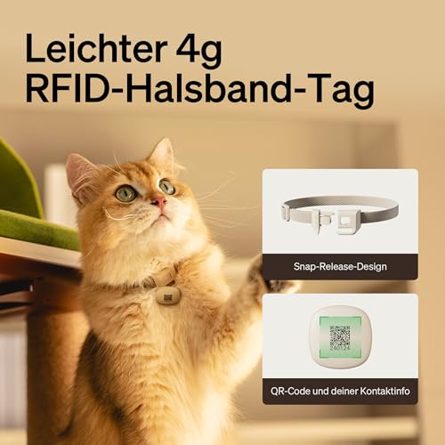 Image of PETLIBRO Automatic Cat Feeder, Wi-Fi Rechargeable Pet Food Dispenser Battery-Operated with 30-Day Life