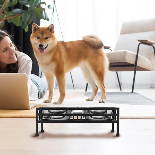 Image of amazon basics, Pet Feeder | Stainless Steel Food & Water Bowls with Iron Stand | Dog Bowls | Elevated Double Diner with Stand | Medium Size (900 ml x 2 Bowl) (Black)