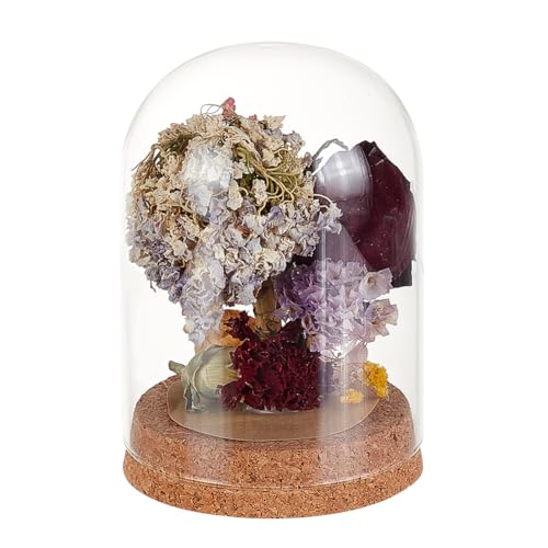 GOMAKERER 1 campana de cristal para exhibición, 3.54 x 4.92 pulgadas, terrario con base de corcho, decoración decorativa para plantas, flores, decoración de Navidad, transparente