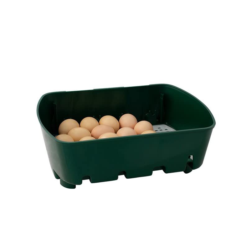 Incubadora digital semiautomática para huevos - River Systems - Capacidad 12 huevos grandes y 48 de tamaño pequeño